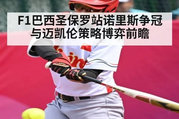 F1巴西圣保罗站诺里斯争冠与迈凯伦策略博弈前瞻 | NG28